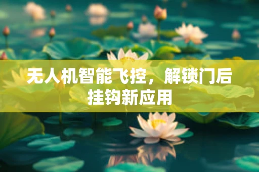 无人机智能飞控，解锁门后挂钩新应用