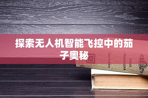 探索无人机智能飞控中的茄子奥秘