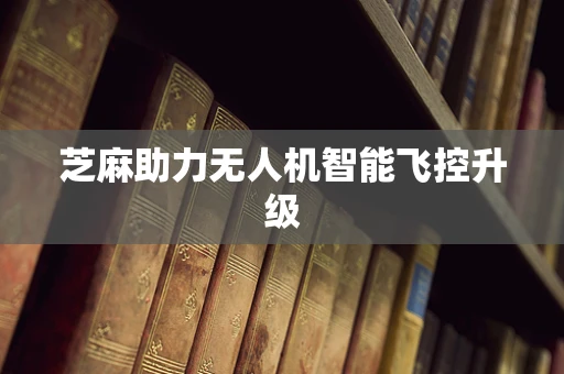 芝麻助力无人机智能飞控升级