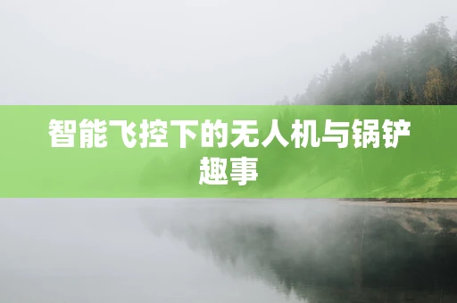 智能飞控下的无人机与锅铲趣事