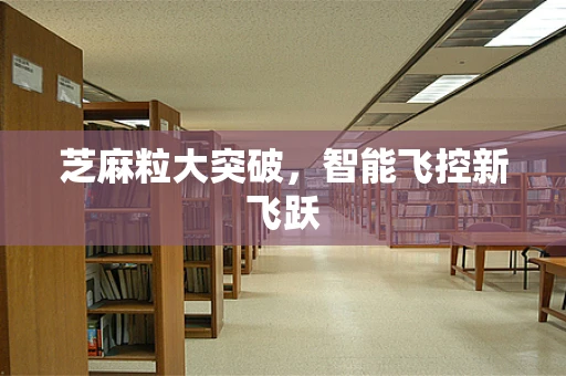芝麻粒大突破，智能飞控新飞跃