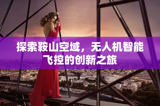探索鞍山空域，无人机智能飞控的创新之旅