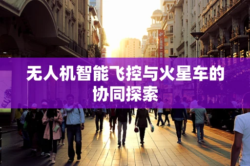 无人机智能飞控与火星车的协同探索