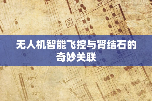 无人机智能飞控与肾结石的奇妙关联
