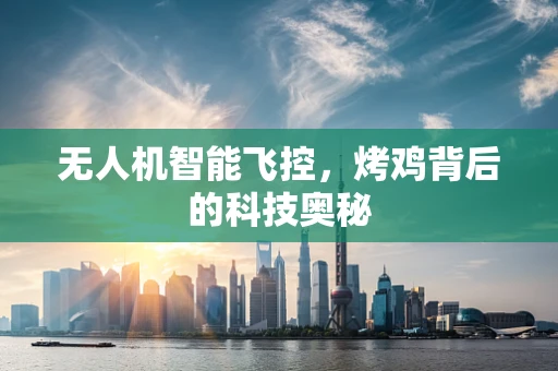 无人机智能飞控，烤鸡背后的科技奥秘