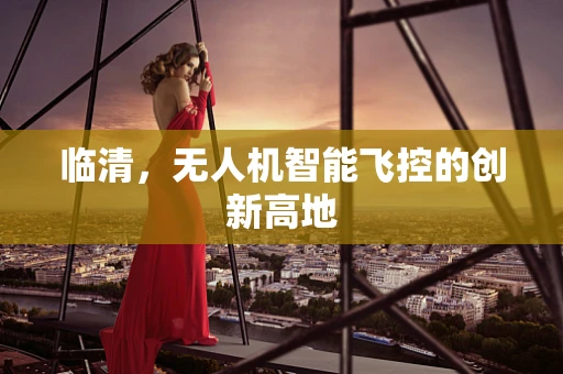 临清，无人机智能飞控的创新高地