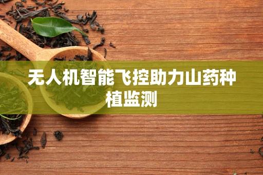 无人机智能飞控助力山药种植监测