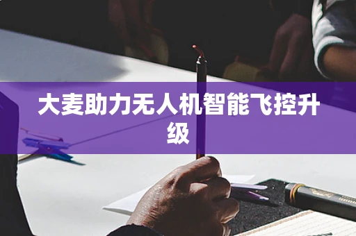 大麦助力无人机智能飞控升级