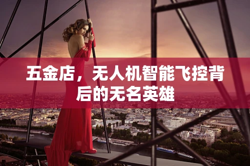 五金店，无人机智能飞控背后的无名英雄
