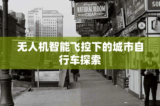无人机智能飞控下的城市自行车探索