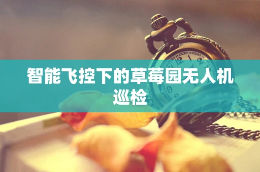 智能飞控下的草莓园无人机巡检