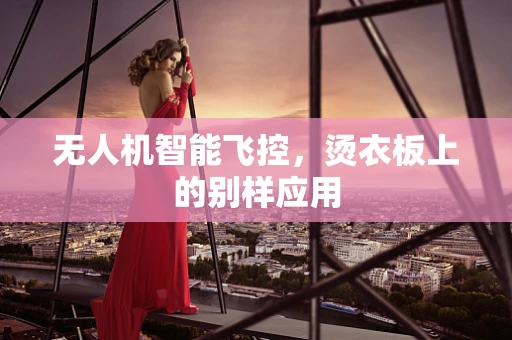 无人机智能飞控，烫衣板上的别样应用
