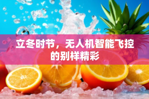 立冬时节，无人机智能飞控的别样精彩