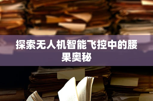 探索无人机智能飞控中的腰果奥秘