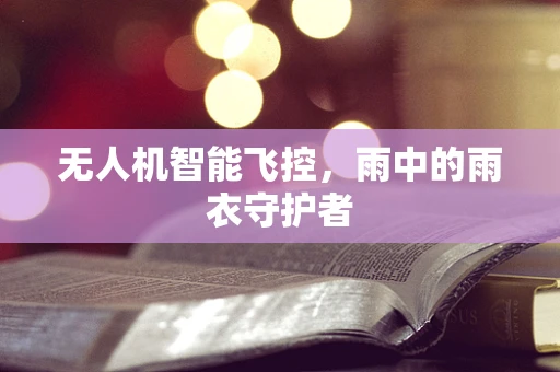 无人机智能飞控，雨中的雨衣守护者