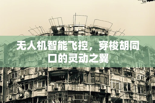 无人机智能飞控，穿梭胡同口的灵动之翼