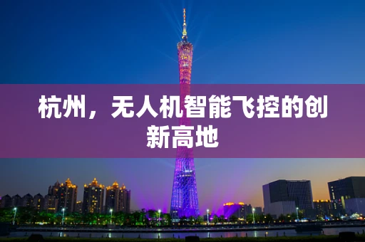 杭州，无人机智能飞控的创新高地