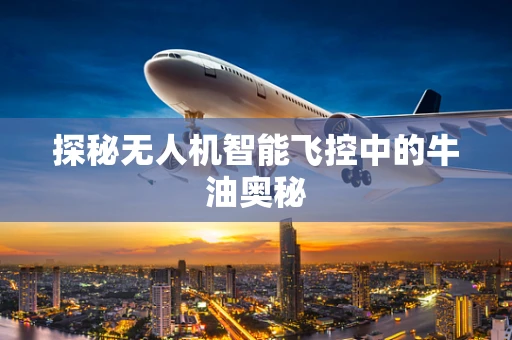 探秘无人机智能飞控中的牛油奥秘