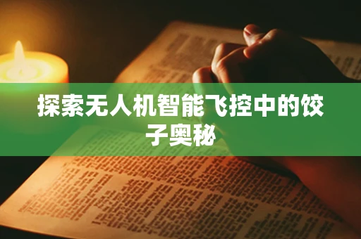 探索无人机智能飞控中的饺子奥秘