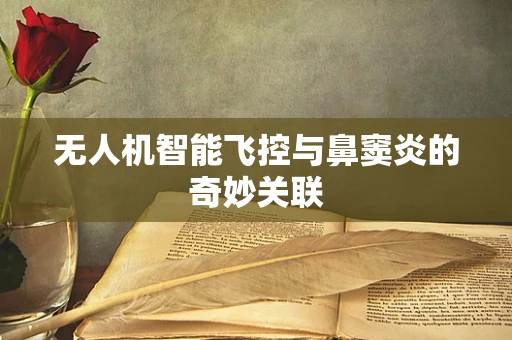 无人机智能飞控与鼻窦炎的奇妙关联