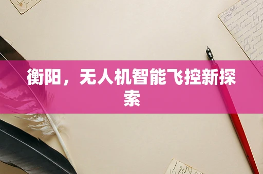 衡阳，无人机智能飞控新探索