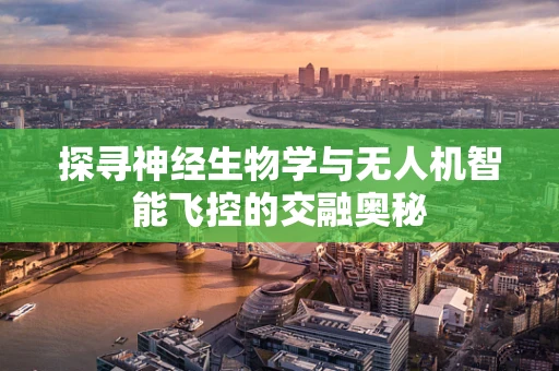 探寻神经生物学与无人机智能飞控的交融奥秘
