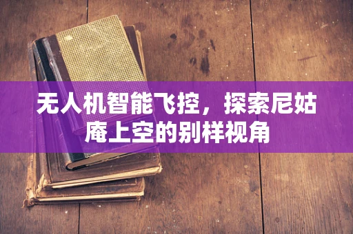 无人机智能飞控，探索尼姑庵上空的别样视角
