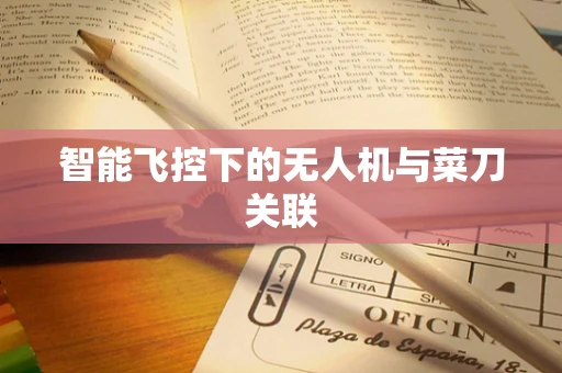 智能飞控下的无人机与菜刀关联