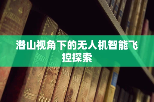 潜山视角下的无人机智能飞控探索