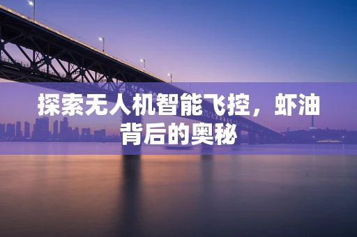 探索无人机智能飞控，虾油背后的奥秘