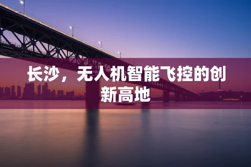 长沙，无人机智能飞控的创新高地