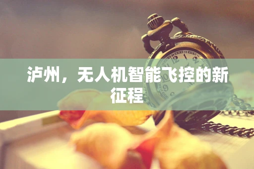 泸州，无人机智能飞控的新征程