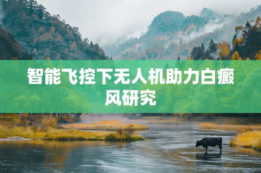 智能飞控下无人机助力白癜风研究