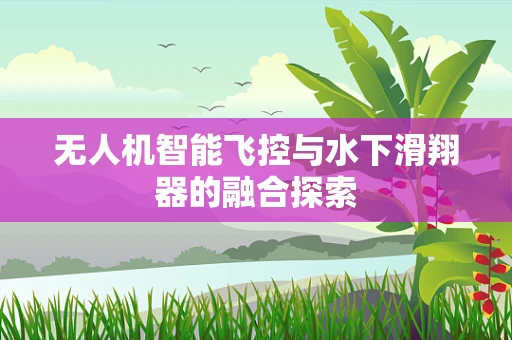 无人机智能飞控与水下滑翔器的融合探索