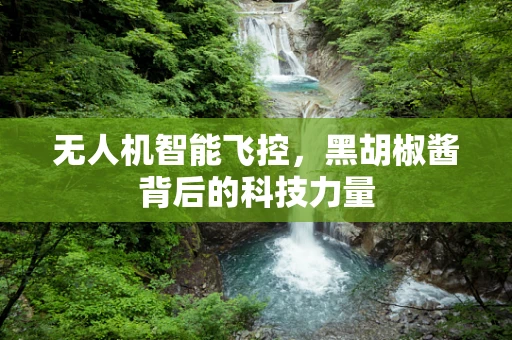 无人机智能飞控，黑胡椒酱背后的科技力量