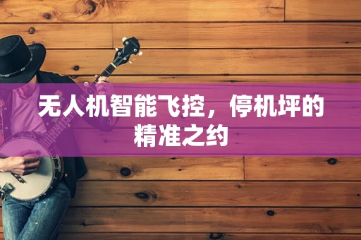 无人机智能飞控，停机坪的精准之约