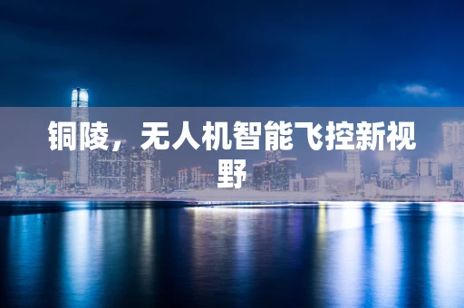 铜陵，无人机智能飞控新视野