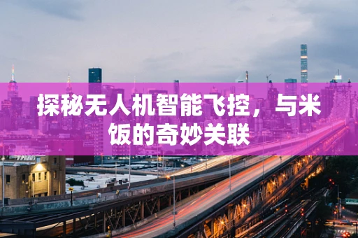 探秘无人机智能飞控，与米饭的奇妙关联