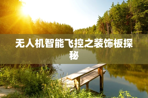 无人机智能飞控之装饰板探秘