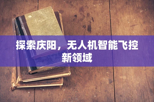 探索庆阳，无人机智能飞控新领域