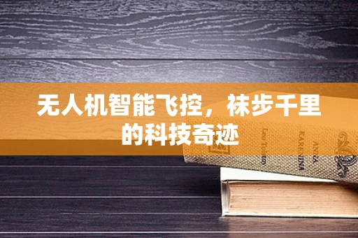 无人机智能飞控，袜步千里的科技奇迹