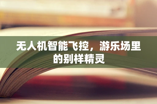 无人机智能飞控，游乐场里的别样精灵