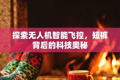 探索无人机智能飞控，短裤背后的科技奥秘