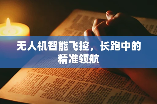 无人机智能飞控，长跑中的精准领航