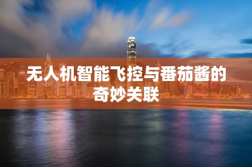 无人机智能飞控与番茄酱的奇妙关联
