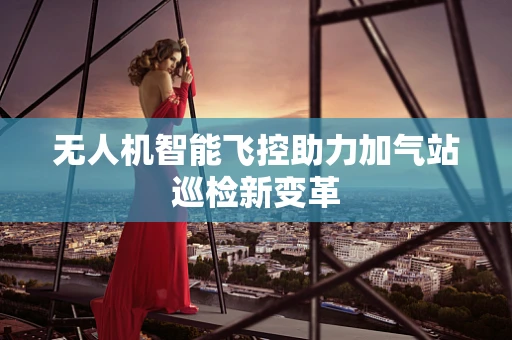 无人机智能飞控助力加气站巡检新变革