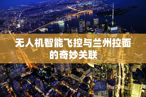 无人机智能飞控与兰州拉面的奇妙关联