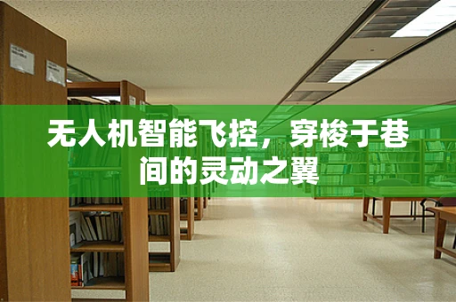 无人机智能飞控，穿梭于巷间的灵动之翼