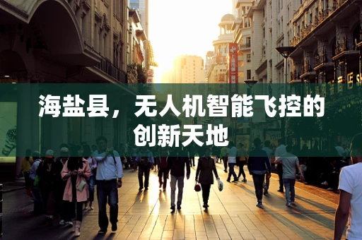 海盐县，无人机智能飞控的创新天地
