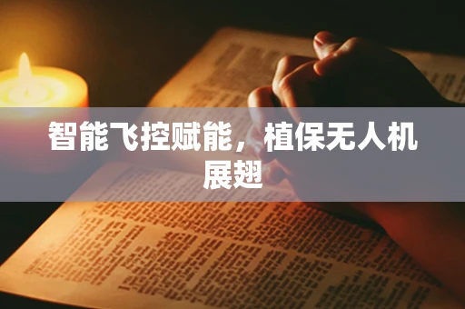 智能飞控赋能，植保无人机展翅